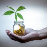 資産形成を象徴するコインと植物の写真