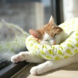 まったりひとり暮らし