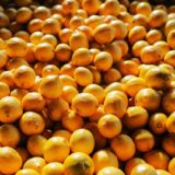 山盛りたくさん。