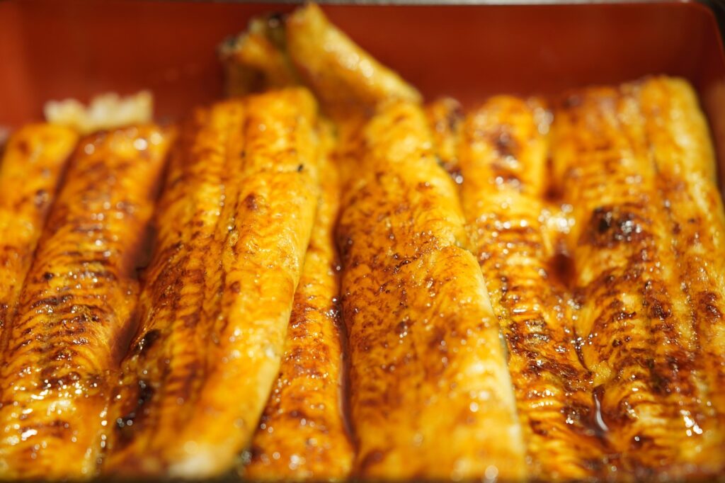 ご飯が見えないほど豪快に盛られた鰻重の主役たち